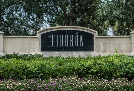 Tiburon