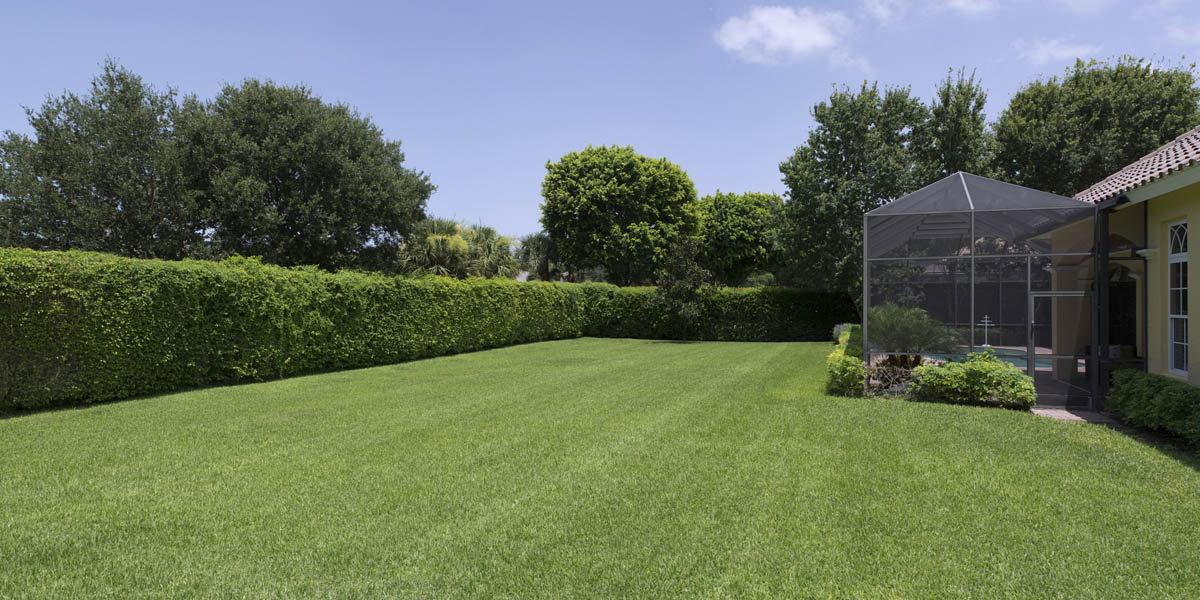 7371 Stonegate Dr Naples, Florida Elton Alikaj